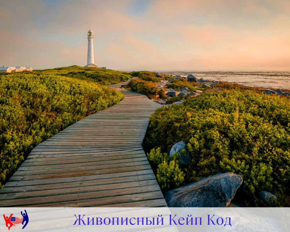 Кейп-код