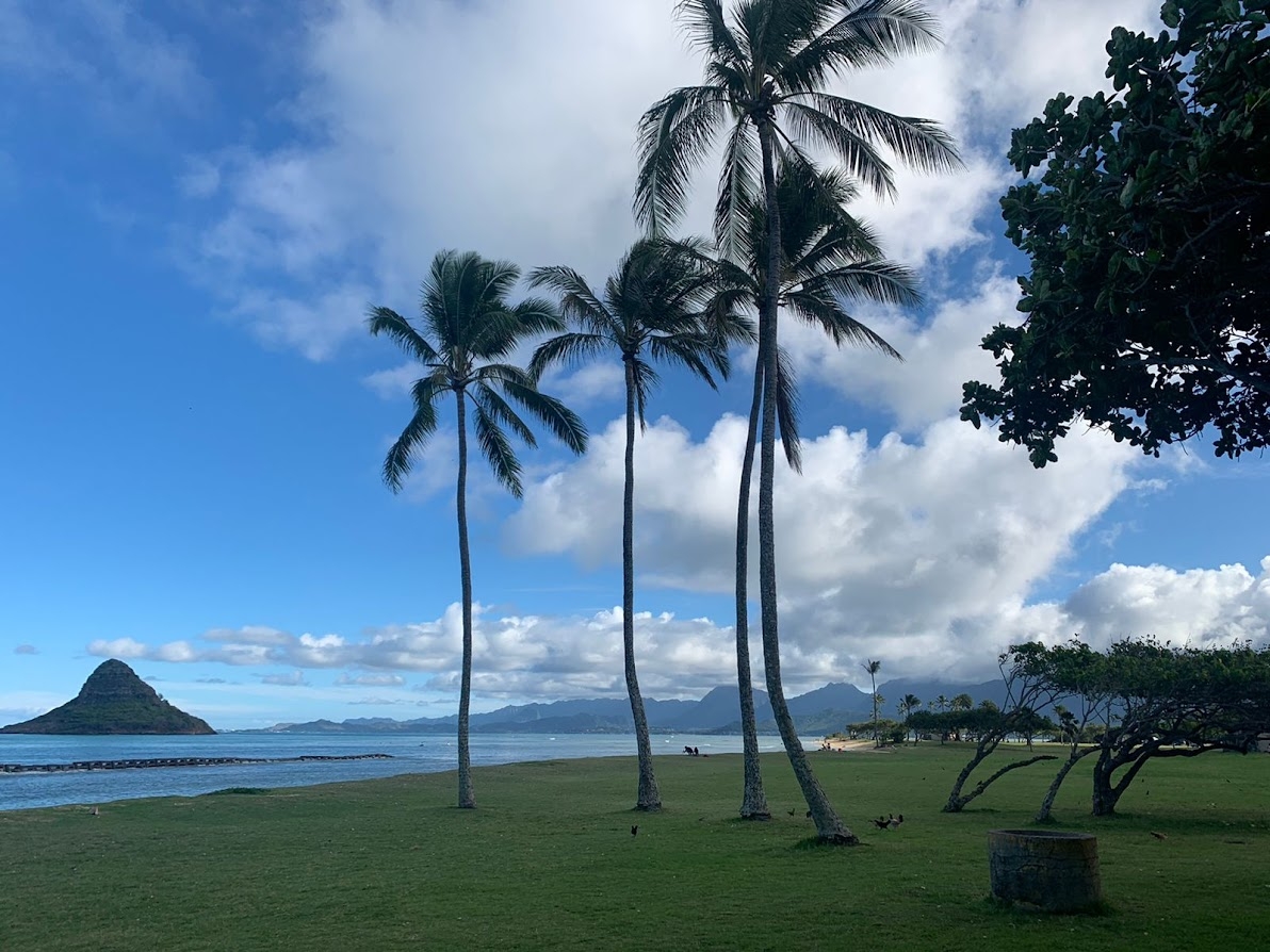 Гавайи. Фото из тура Tobeamerica